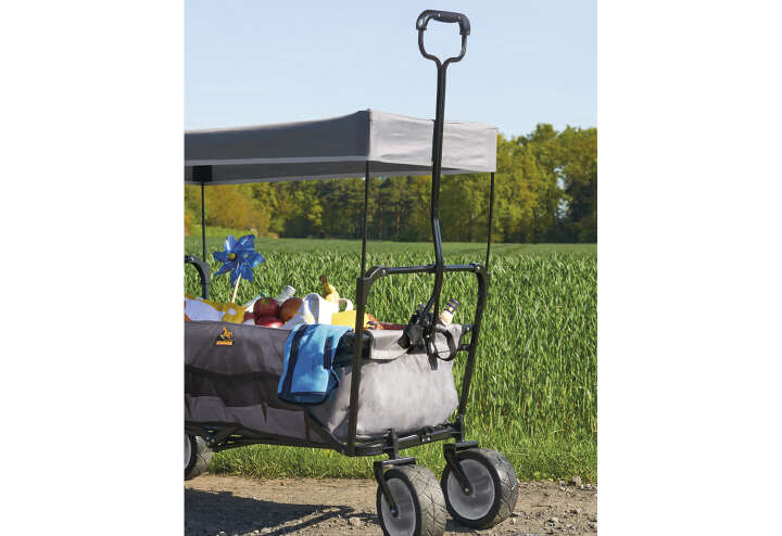 Pinolino Klapp-Bollerwagen Paxi mit Sonnendach